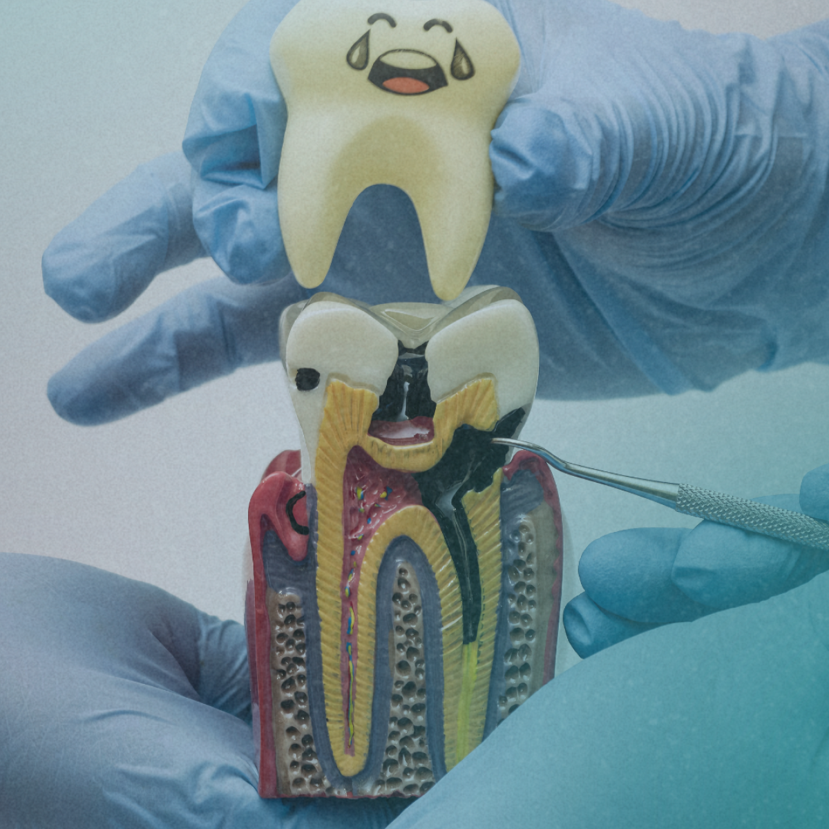 DNA-REEL-COVER-4-1.png